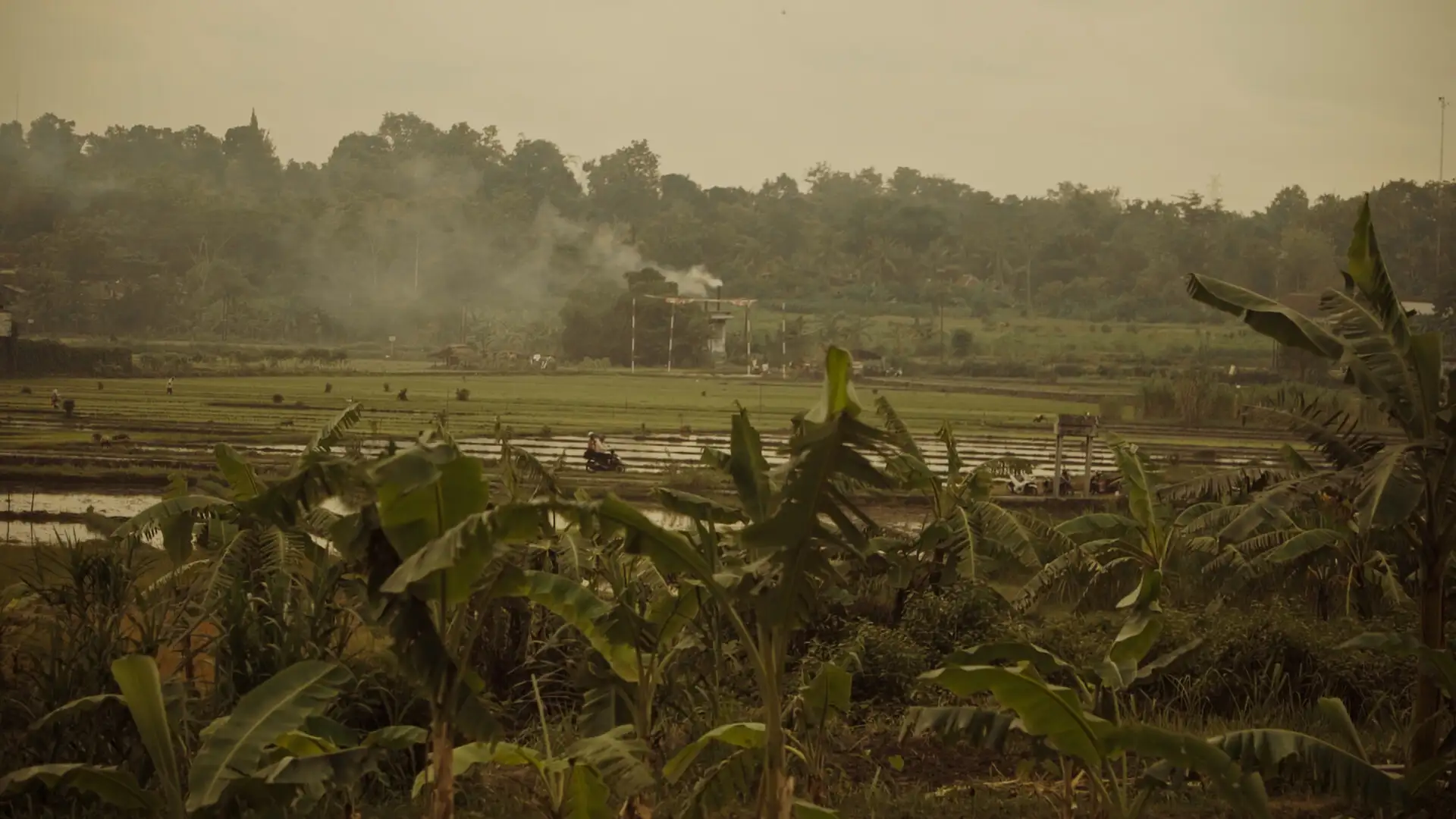 Still 2