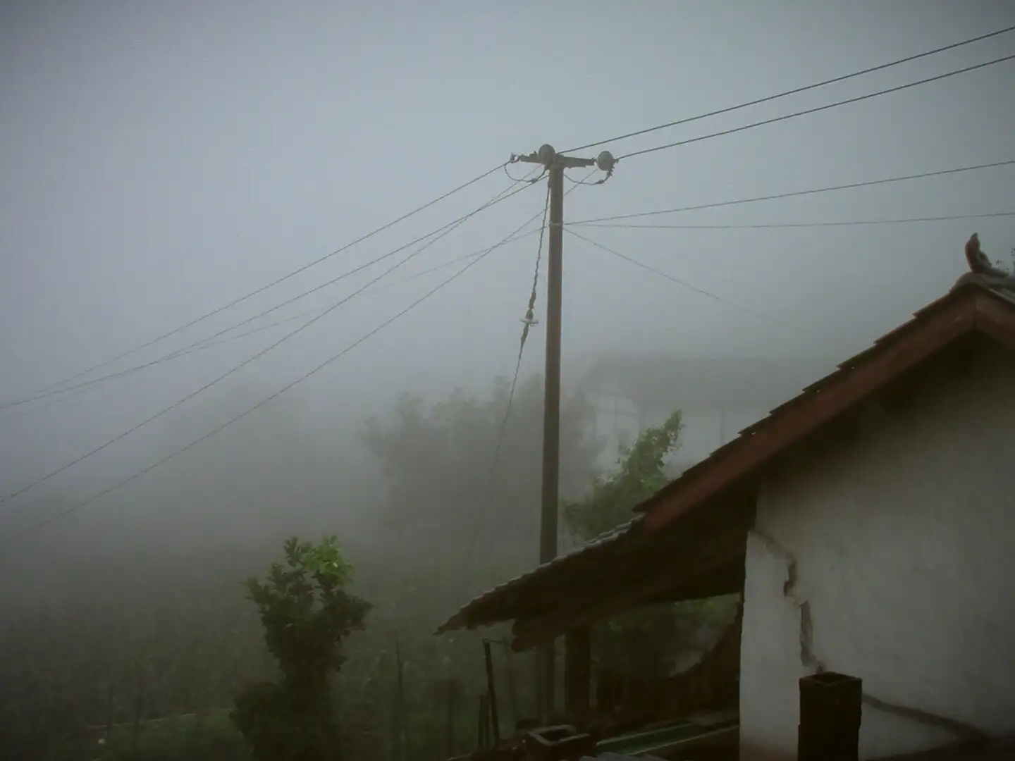 Still 7